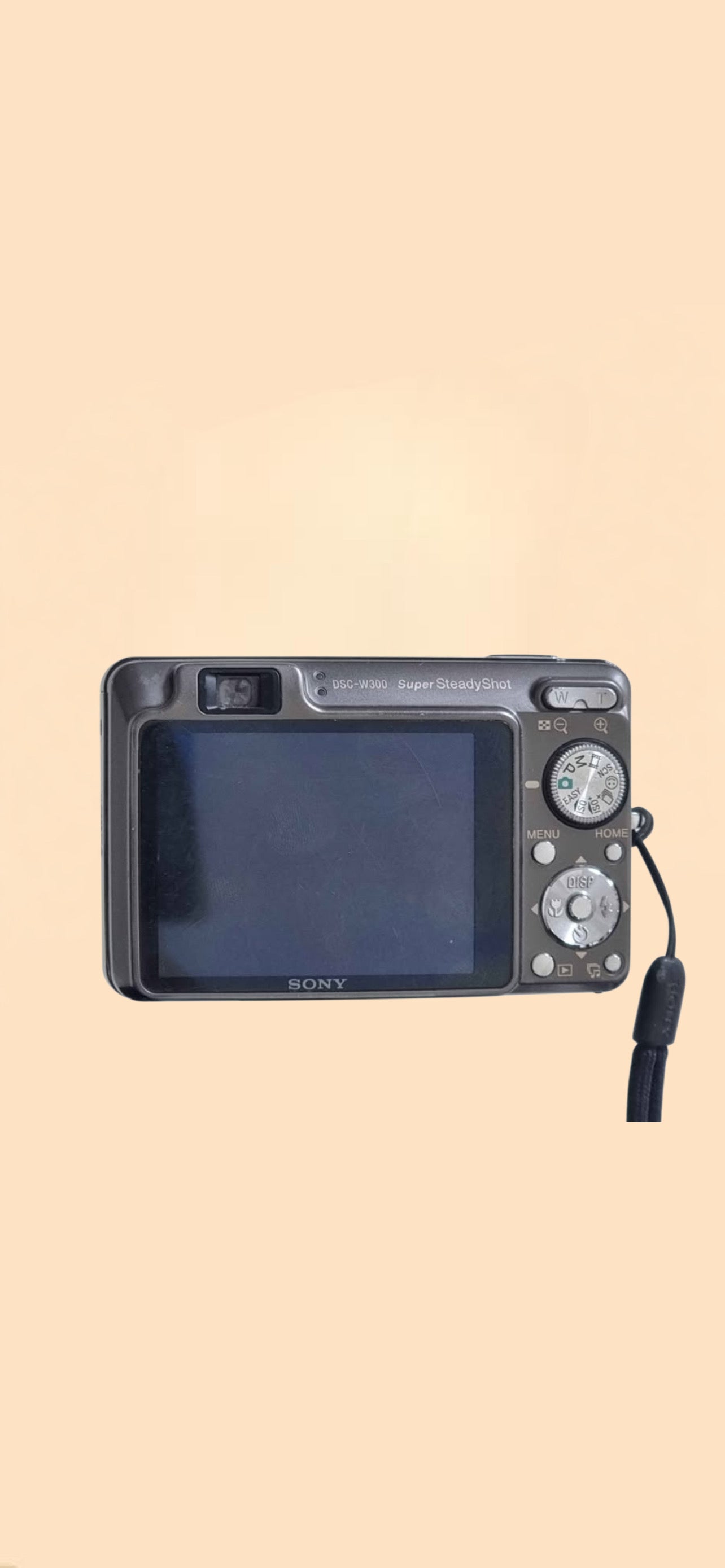 Sony DSC-W300