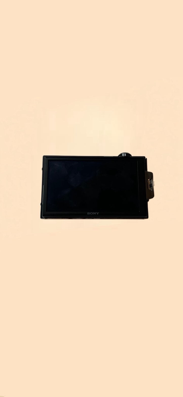 Sony dsc t900