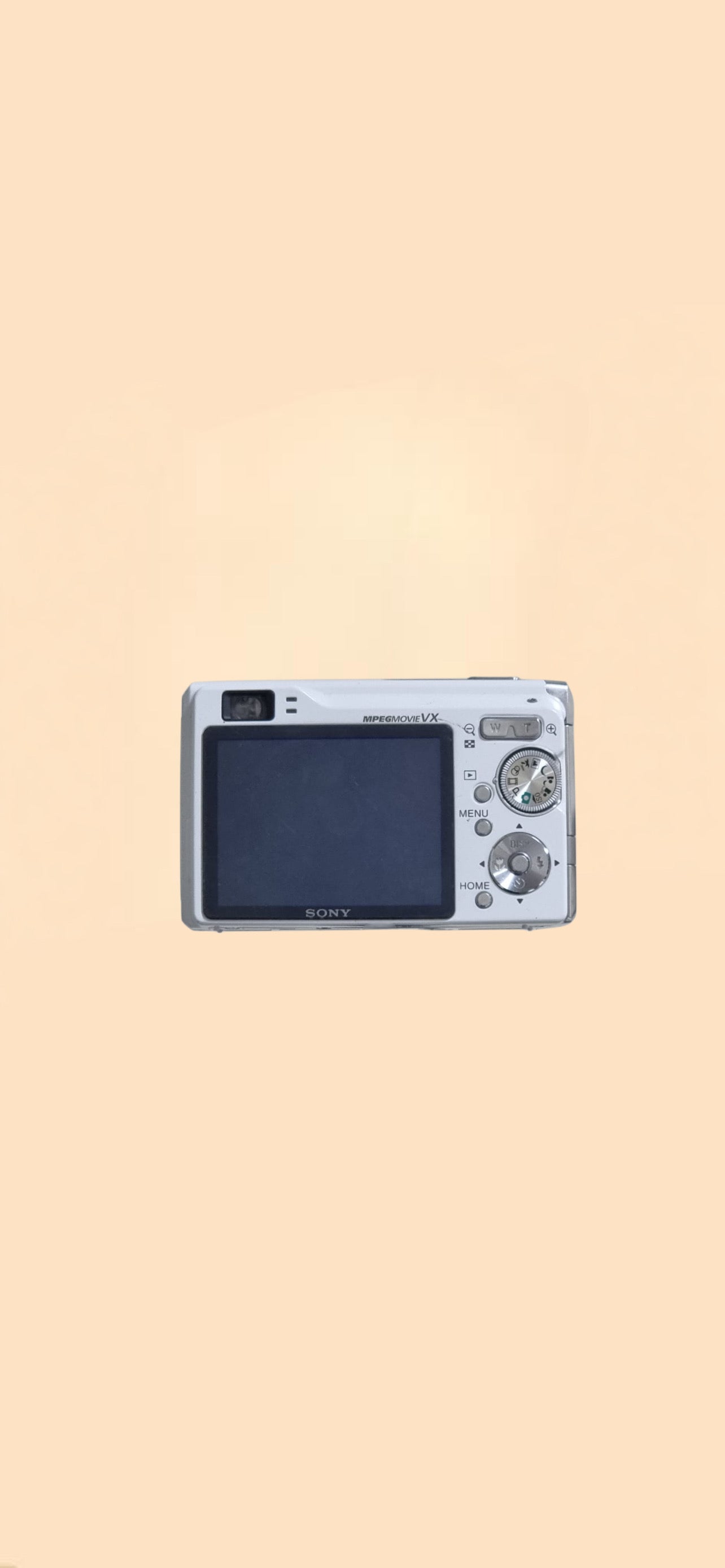 Sony steadyshot DSC-W80