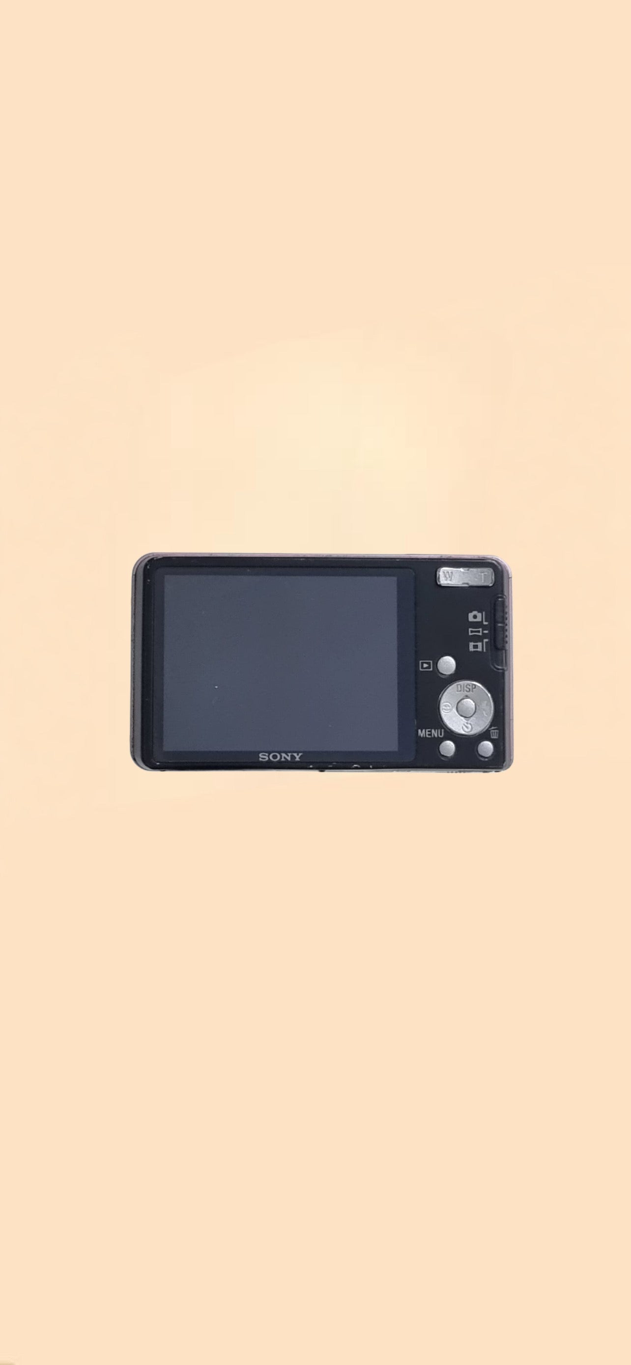 Sony steadyshot DSC-W350