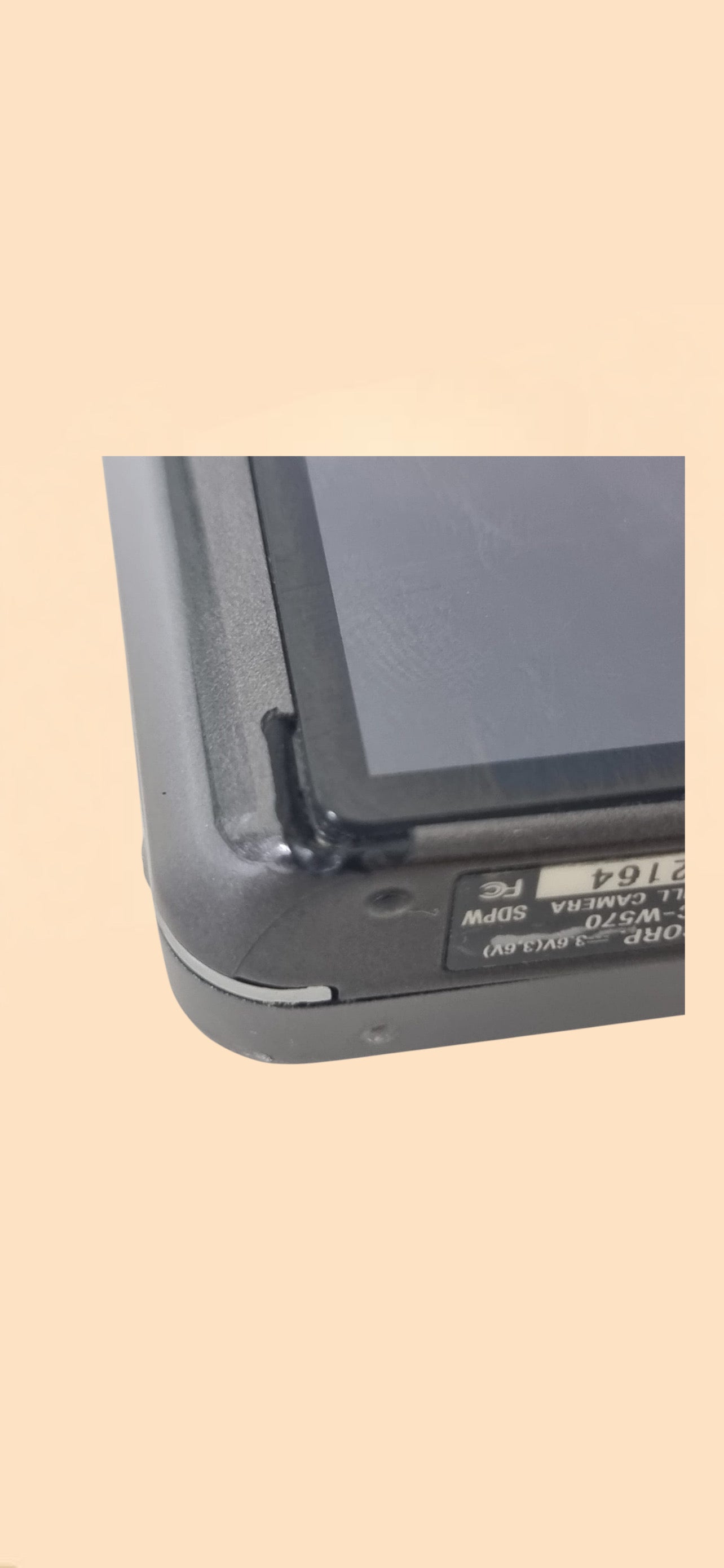 Sony steadyshot DSC-W570