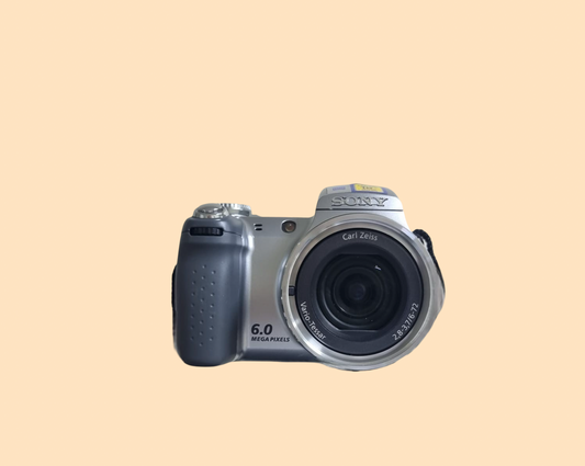 Sony Super SteadyShot DSC-H2