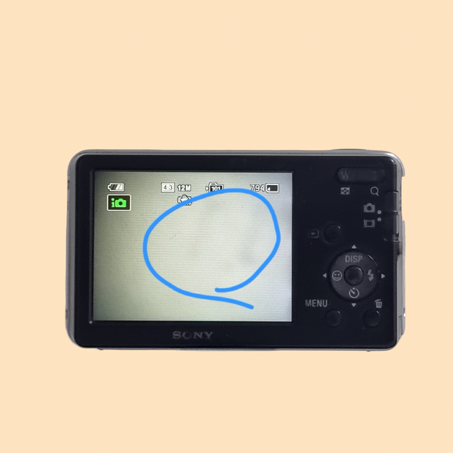 SONY Cyber-shot DSC-W310